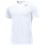 WHITE / COOL GREY 100